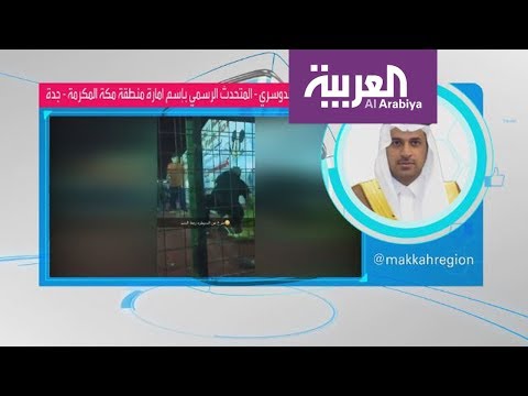 شاهد تفاصيل هجوم أسد على طفلة وهذا قرار السلطات السعودية