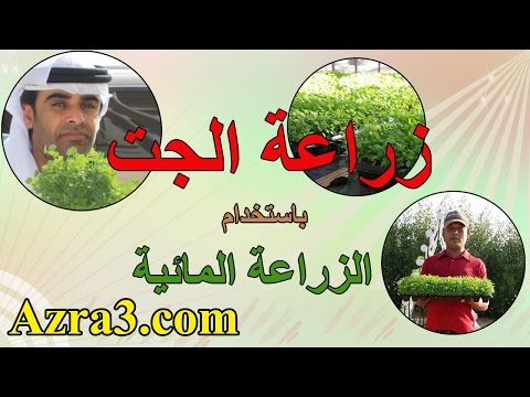 ابتكار نظام لزراعة الجت في الإمارات