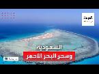 شاهد صور ساحرة من مشروع البحر الأحمر في السعودية